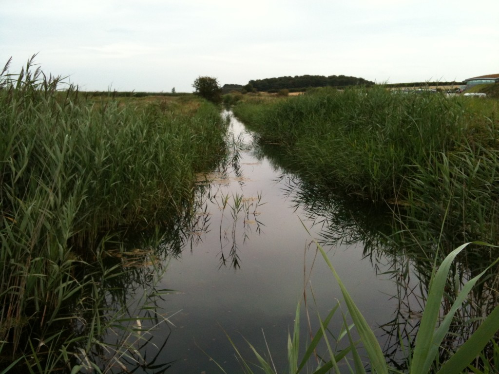 Cleymarshes