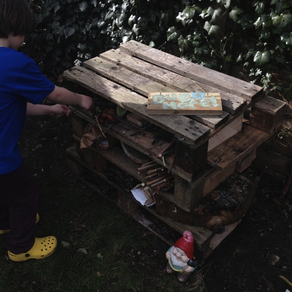 Filling the bug hotel