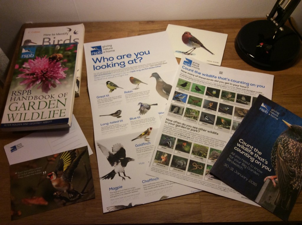 RSPB Big Birdwatch pack