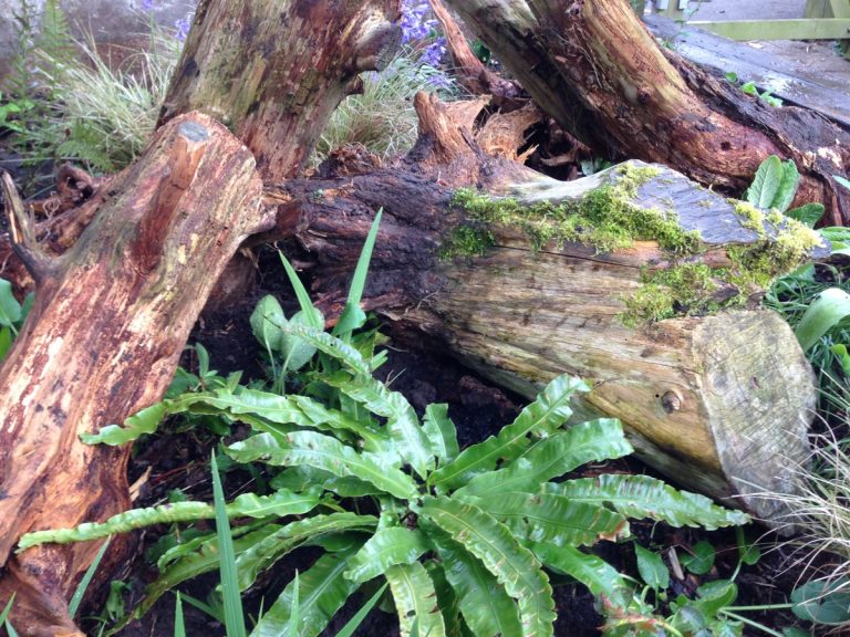 Things To Do In A Weekend Build A Stumpery the small gardener